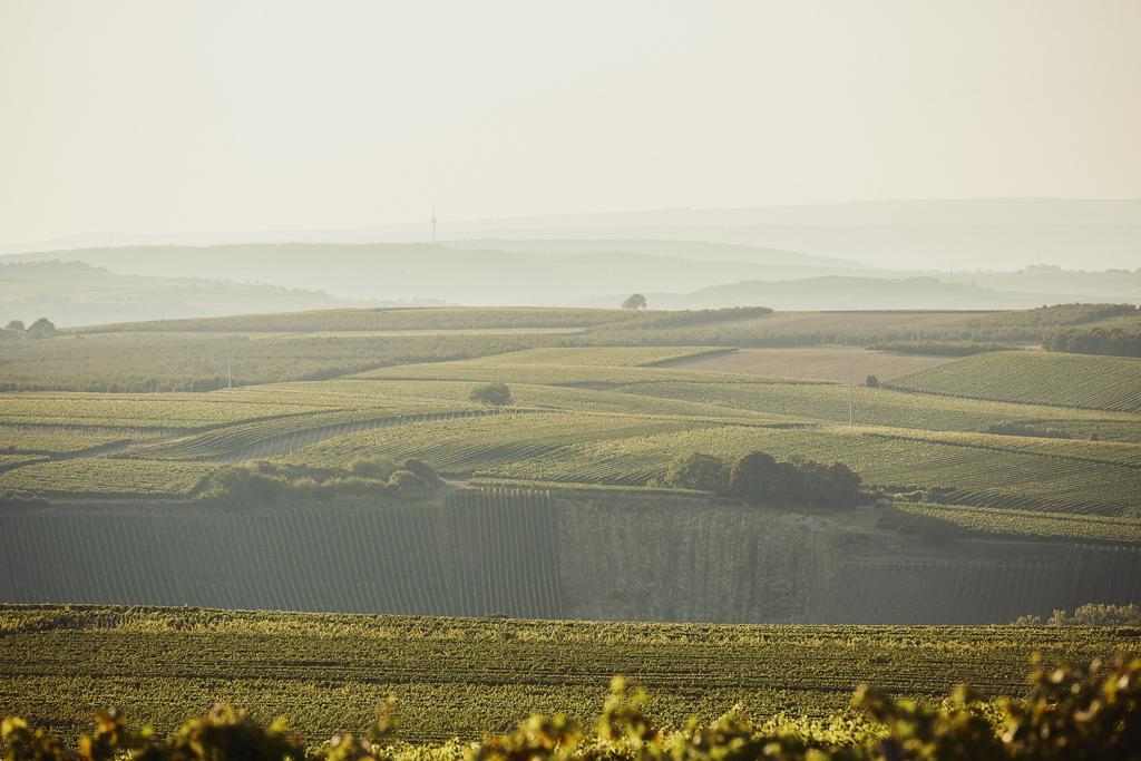 Meyerhof - Bioweingut, Vinothek & Gaestehaus Flonheim Bagian luar foto